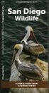 Waterford Press - San Diego Wildlife