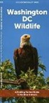 Waterford Press - Washington DC Wildlife