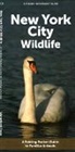 Waterford Press - New York City Wildlife