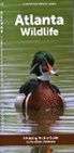 Waterford Press - Atlanta Wildlife