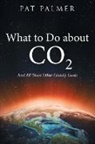 Pat Palmer - What to Do About Co2