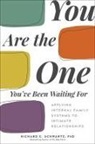 Richard Schwartz, Richard C Schwartz, Richard C. Schwartz - You Are the One You've Been Waiting for