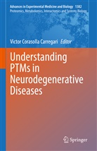 Victor Corasolla Carregari - Understanding PTMs in Neurodegenerative Diseases