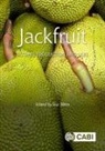 Sisir Mitra, Sisir (Chair Mitra - Jackfruit
