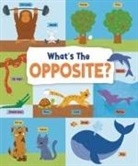 John Allan - What's the Opposite?