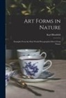 Karl Bloßfeldt - Art Forms in Nature: Examples From the Plant World Photographed Direct From Nature