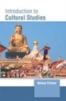 Nelson Palmer - Introduction to Cultural Studies