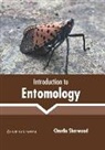 Claudia Sherwood - Introduction to Entomology