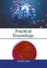 Austin Murphy - Practical Enzymology