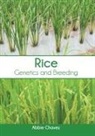 Abbie Chavez - Rice: Genetics and Breeding