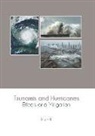 Lily Hill - Tsunamis and Hurricanes: Effects and Mitigation