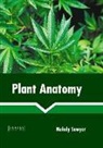 Melody Sawyer - Plant Anatomy
