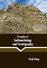 Cody Long - Principles of Sedimentology and Stratigraphy