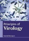 Lincoln Davenport - Principles of Virology
