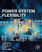 Xie Le, Xie (Professor Chancellor EDGE fellow; Assistant Director of Energy Digitization Le, Haibo Li, Haibo (Research Assistant Li, Li Haibo, Zongxiang Lu... - Power System Flexibility