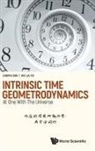 Chopin Soo, Chopin Soo &amp; Hoi Lai Yu, Hoi Lai Yu, Chopin Soo, Soo Chopin, Hoi-lai Yu - Intrinsic Time Geometrodynamics: At One With The Universe