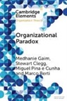 Marco Berti, Berti Marco, Stewart Clegg, Clegg Stewart, Miguel Pina e Cunha, Medhanie Gaim... - Organizational Paradox