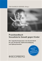 Sigrun von Hasseln-Grindel, Sigrun von Hasseln-Grindel - Praxishandbuch Sexualisierte Gewalt gegen Kinder