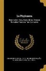 D. Victoriano Butragueno, D. Victoriano Butragueño, D. Escosura Coronel, A. Cargo De E. Viota A. Bacaycoa - La Phyloxera: Descripcion, Vida y Costumbres, Diversos Remedios Prácticos Para Combatirla