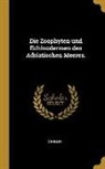 C. Heller - Die Zoophyten Und Echinodermen Des Adriatischen Meeres