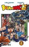Bola de Drac Super nº 13