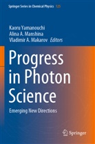 Vladimir A Makarov, Alina A Manshina, Vladimir A. Makarov, Alina A. Manshina, Kaoru Yamanouchi - Progress in Photon Science