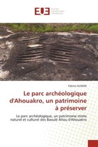 Fabrice Aliman - Le parc archéologique d'Ahouakro, un patrimoine à préserver