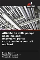 Denis Bundev, Valeria Kochneva, Vladimir Skalozubov - Affidabilità delle pompe negli impianti importanti per la sicurezza delle centrali nucleari