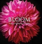Chris Miller - Bloom