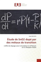 Nabil Beloufa - Étude de SnO2 dopé par des métaux de transition
