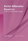 Patrick McCann - Partial Differential Equations: Spectral and High Order Methods