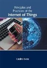 Catalina Evans - Principles and Practices of the Internet of Things