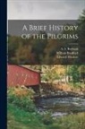 William Bradford, Edward Winslow, A. S. (Alfred Stevens) Burbank - A Brief History of the Pilgrims