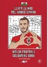 Anne Cakebread, Anne Cakebread - Llyfr Lliwio Pêl-Droed Cymru Welsh Football Colouring Book