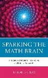 Teruni Lamberg, Lamberg Teruni - Sparking the Math Brain