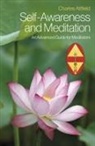 Charles Attfield - Self-Awareness and Meditation