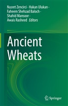 Faheem Shehzad Baloch, Shahid Mansoor, Awais Rasheed, Faheem Shehzad Baloch et al, Hakan Ulukan, Nusret Zencirci - Ancient Wheats