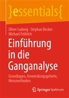 Stephan Becker, Michael Fröhlich, Oliver Ludwig - Einführung in die Ganganalyse