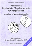Andreas Seebeck, Febe Homrighausen - Basiswissen Psychiatrie / Psychotherapie für Heilpraktiker kurzgefasst in Wort und Kullerköpfen