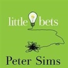 Peter Sims, John Allen Nelson - Little Bets Lib/E: How Breakthrough Ideas Emerge from Small Discoveries (Audio book)