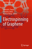 Sumanta Sahoo, Santosh K Tiwari, Nannan Wang - Electrospinning of Graphene