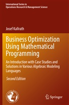 Josef Kallrath - Business Optimization Using Mathematical Programming