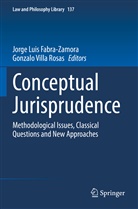 Jorge Luis Fabra-Zamora, Jorge Luis Fabra-Zamora, Villa Rosas, Gonzalo Villa Rosas - Conceptual Jurisprudence