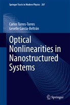 Geselle García-Beltrán, Carlos Torres-Torres - Optical Nonlinearities in Nanostructured Systems