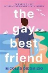 Nicolas DiDomizio - The Gay Best Friend