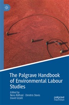 Nora Räthzel, Dimitris Stevis, David Uzzell - The Palgrave Handbook of Environmental Labour Studies