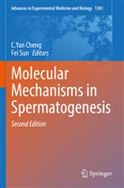 C. Yan Cheng, C.Yan Cheng, Sun, Fei Sun, C Yan Cheng - Molecular Mechanisms in Spermatogenesis