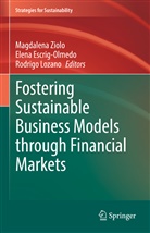 Elena Escrig-Olmedo, Rodrigo Lozano, Magdalena Ziolo - Fostering Sustainable Business Models through Financial Markets