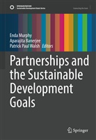 Aparajita Banerjee, Enda Murphy, Patrick Paul Walsh, Patrick Paul Walsh - Partnerships and the Sustainable Development Goals