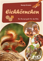 Svenja Ernsten - Eichhörnchen
